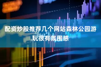 配资炒股推荐几个网站森林公园游玩很有氛围感
