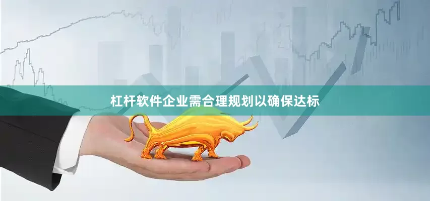 杠杆软件企业需合理规划以确保达标